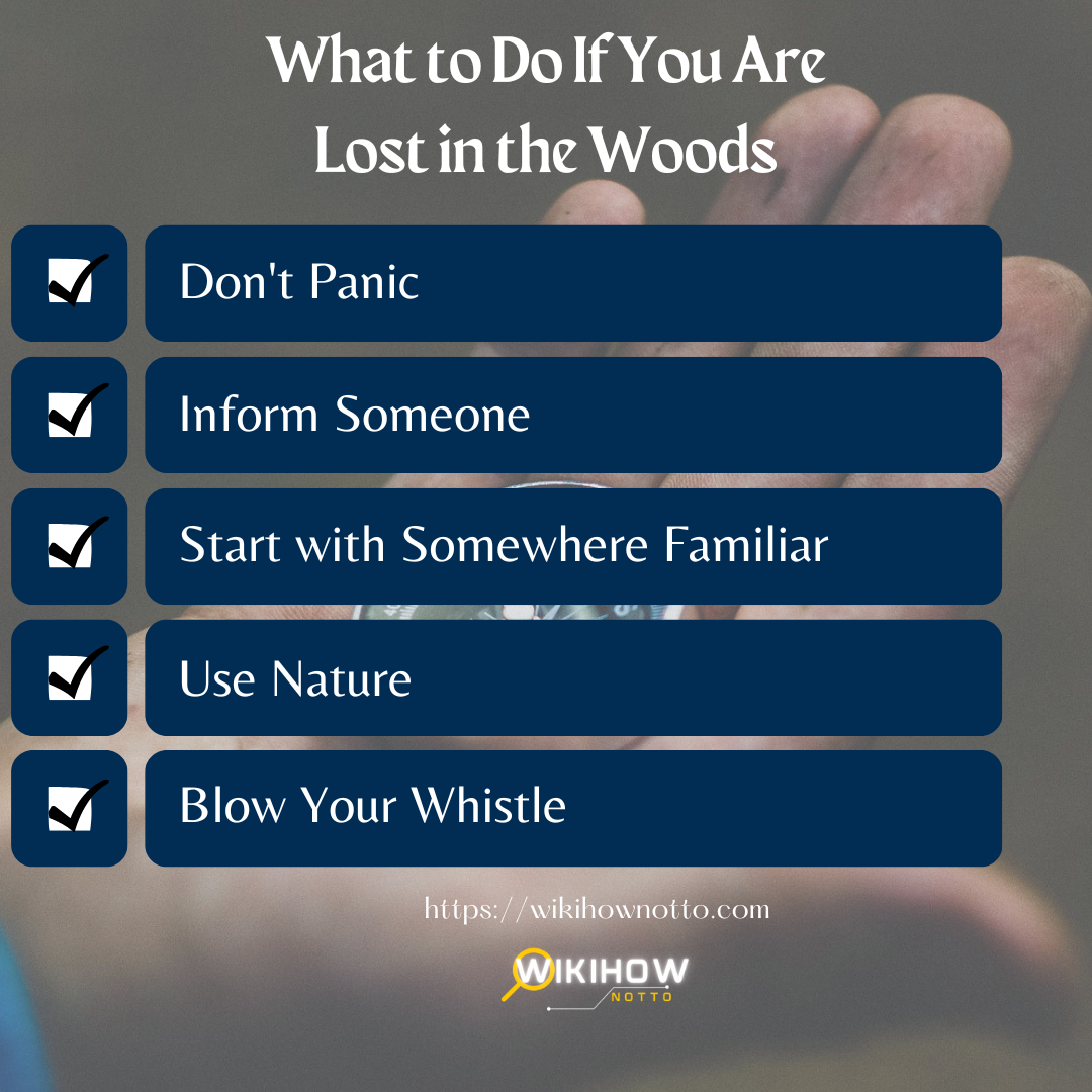 What to Do If You Are Lost in the Woods